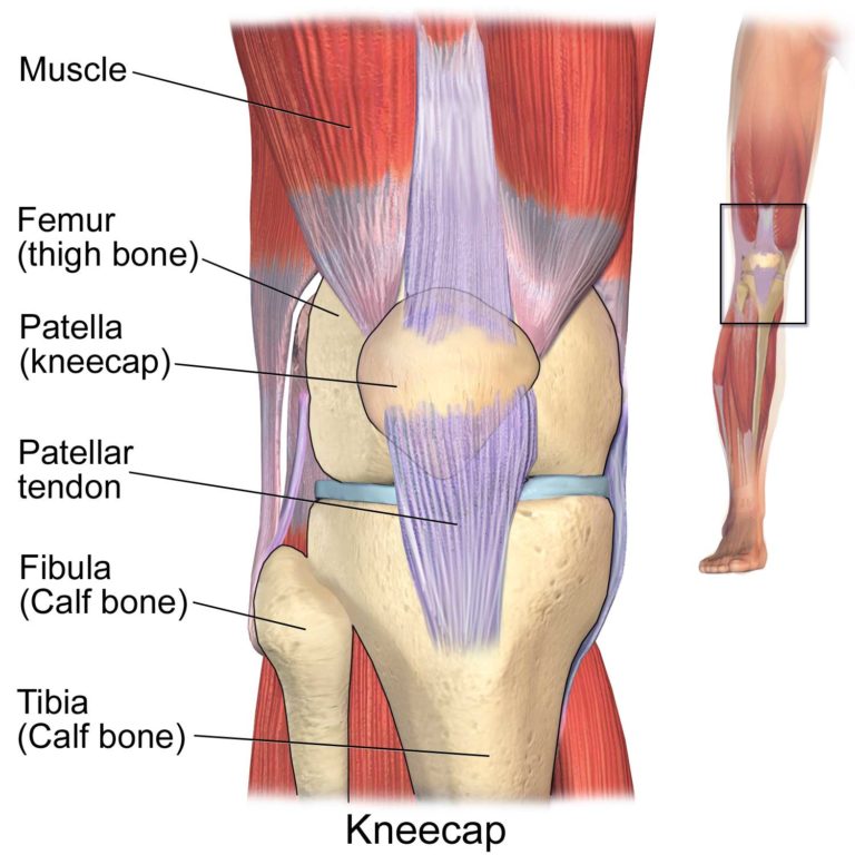 Knee A (Wikipedia Commons)