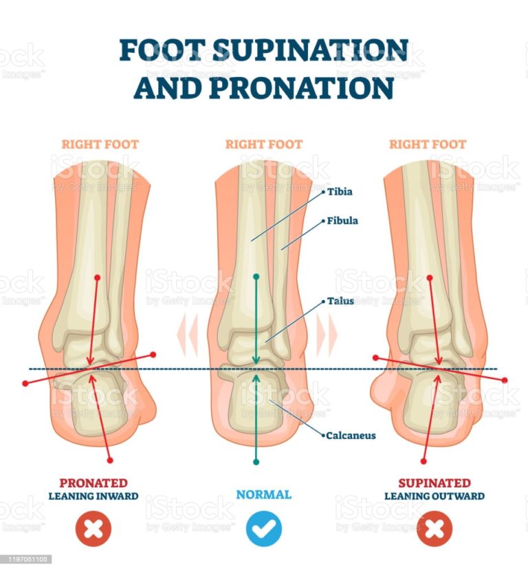 Pronnation (VectorMine, iStock)