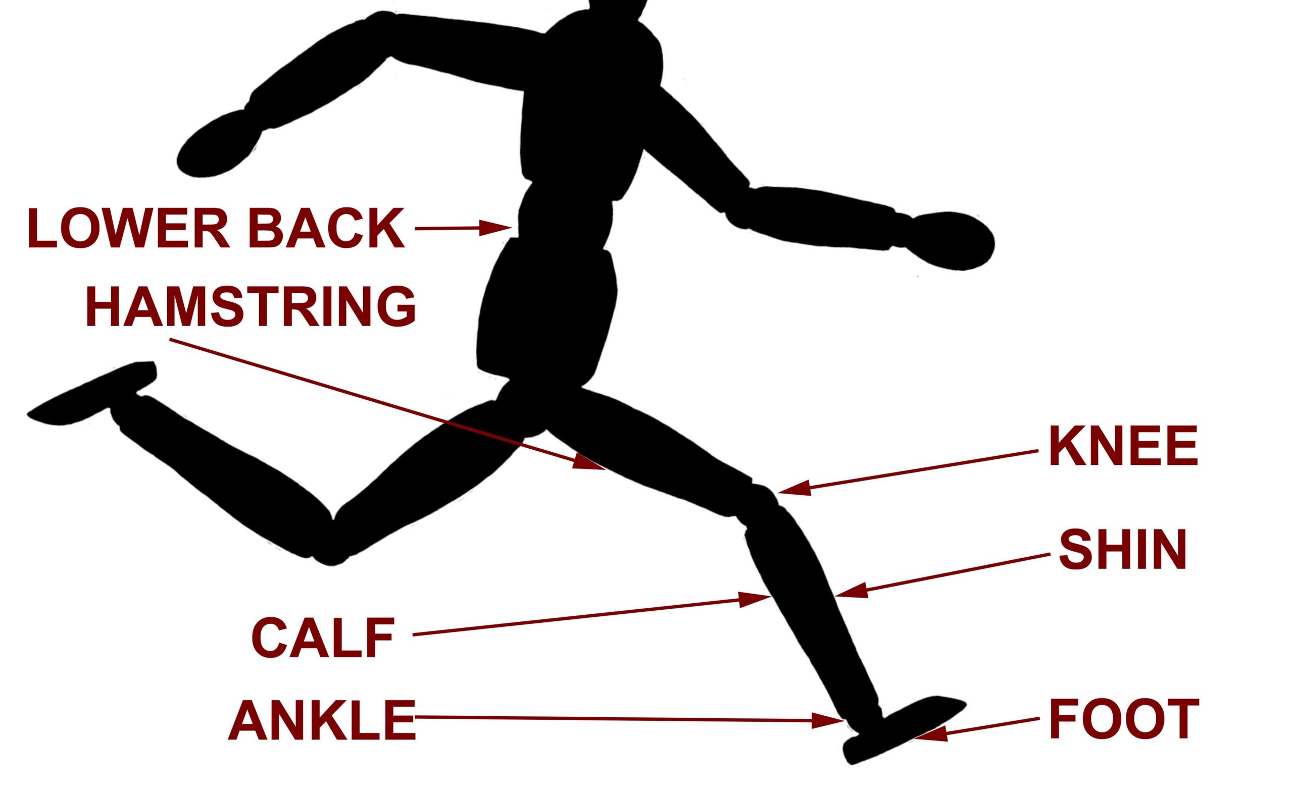 Pain Assessment Graph (ARC Running)